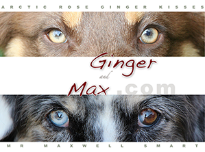 Ginger and Max Website